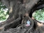 Grounding